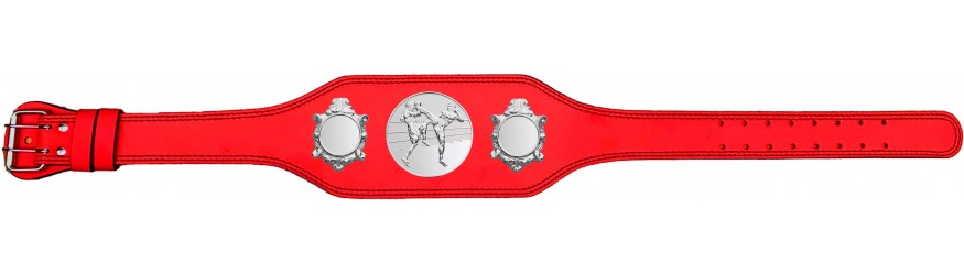 THAI BOXING CHAMPIONSHIP BELT-BUD003/S/TBOS-4 COLOURS
